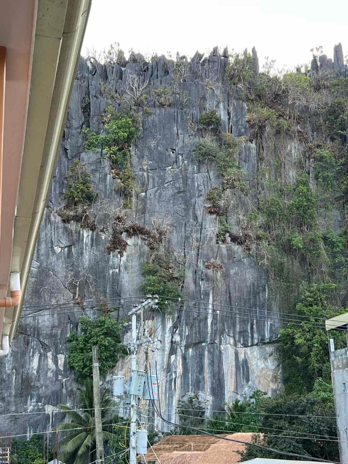 Vencejos Inn - El Nido Luaran gambar